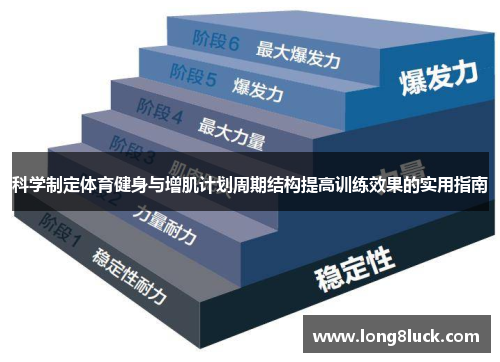 科学制定体育健身与增肌计划周期结构提高训练效果的实用指南